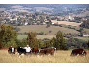 3. Farming in the Cotswolds